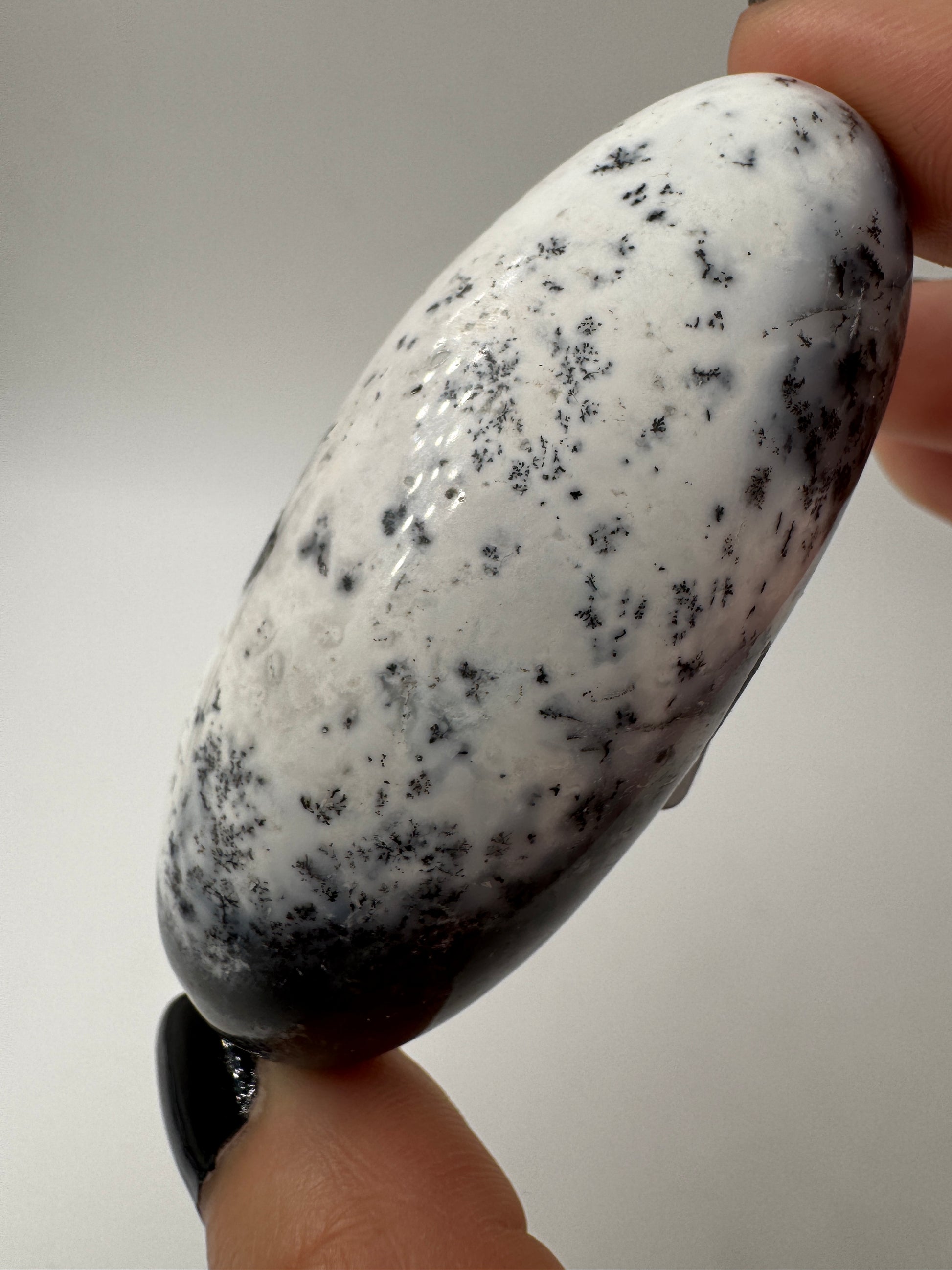 Ein eiförmig geschliffener, weißer Dendritenopal mit markanten, schwarzen Verästelungen und hochglänzender Oberfläche.