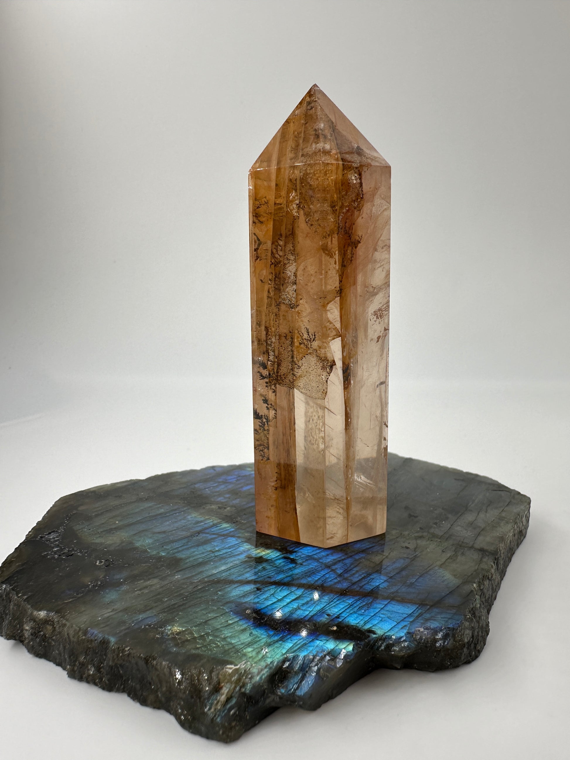 Dendritenquarz Spitze DS55, 8,4 cm, mit baumförmigen Dendriteneinschlüssen und warmen Eisentönen im klaren Quarz