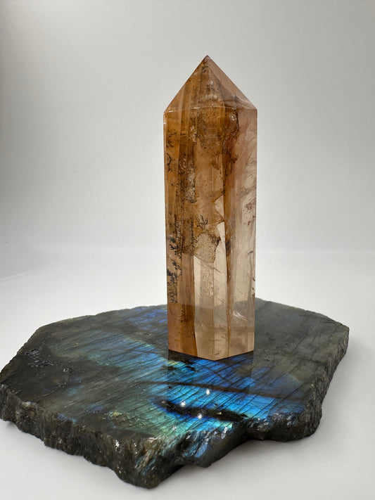 Dendritenquarz Spitze DS55, 8,4 cm, mit baumförmigen Dendriteneinschlüssen und warmen Eisentönen im klaren Quarz