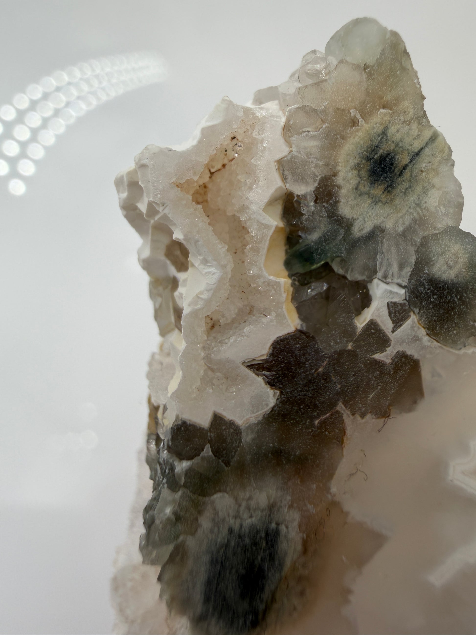 Polierte Platte aus sphärolitischem Chalcedon mit sichtbaren, kreisförmigen Mineral-Strukturen.