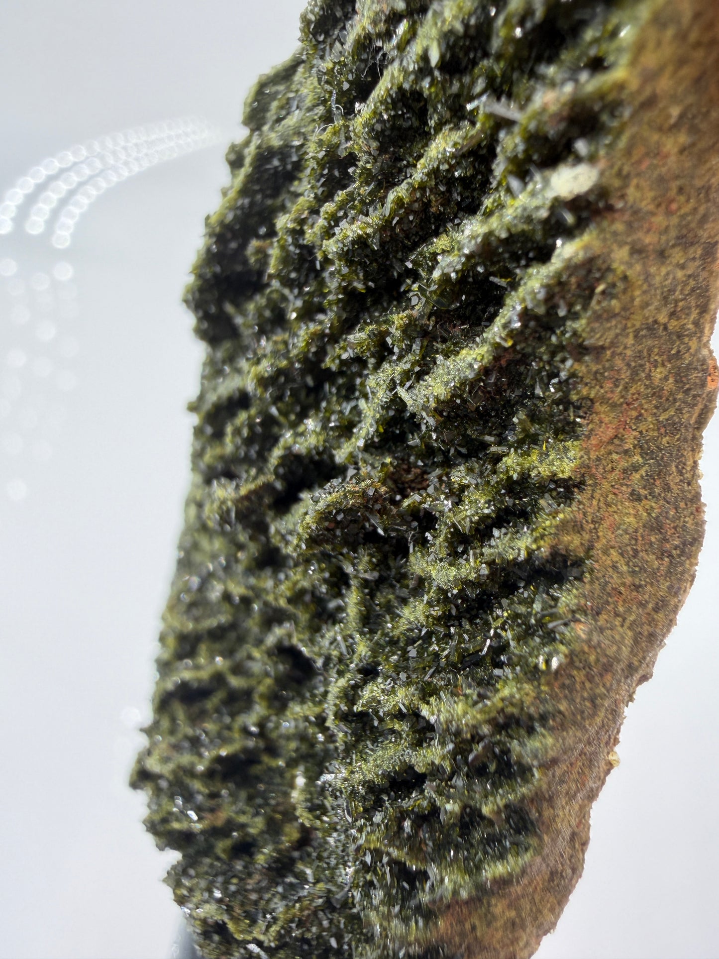 IMG-1459_0e7f0e5f-b32c-49f8-bc28-b1ecf504a828