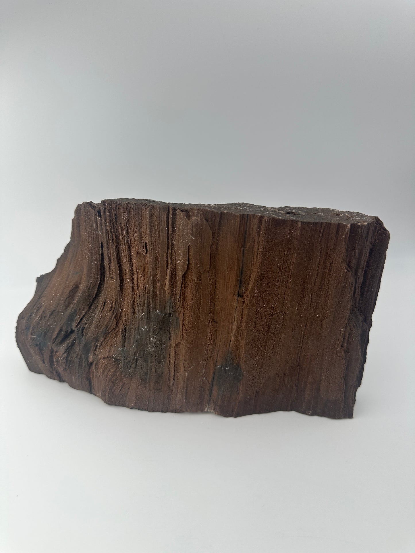 Feenholz FH112 aus Leipzig, versteinertes Holz mit funkelnden Quarzeinschlüssen