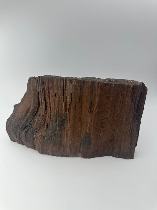 Feenholz FH112 aus Leipzig, versteinertes Holz mit funkelnden Quarzeinschlüssen