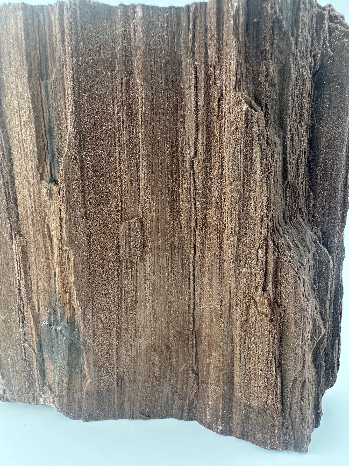 Feenholz FH112 aus Leipzig, versteinertes Holz mit funkelnden Quarzeinschlüssen