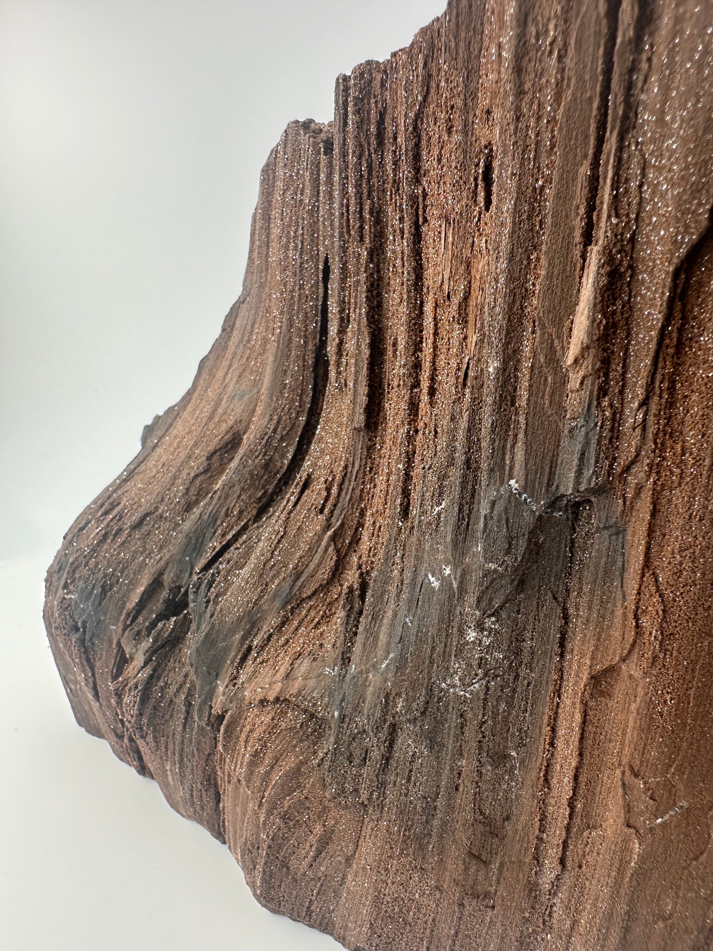 Feenholz FH112 aus Leipzig, versteinertes Holz mit funkelnden Quarzeinschlüssen