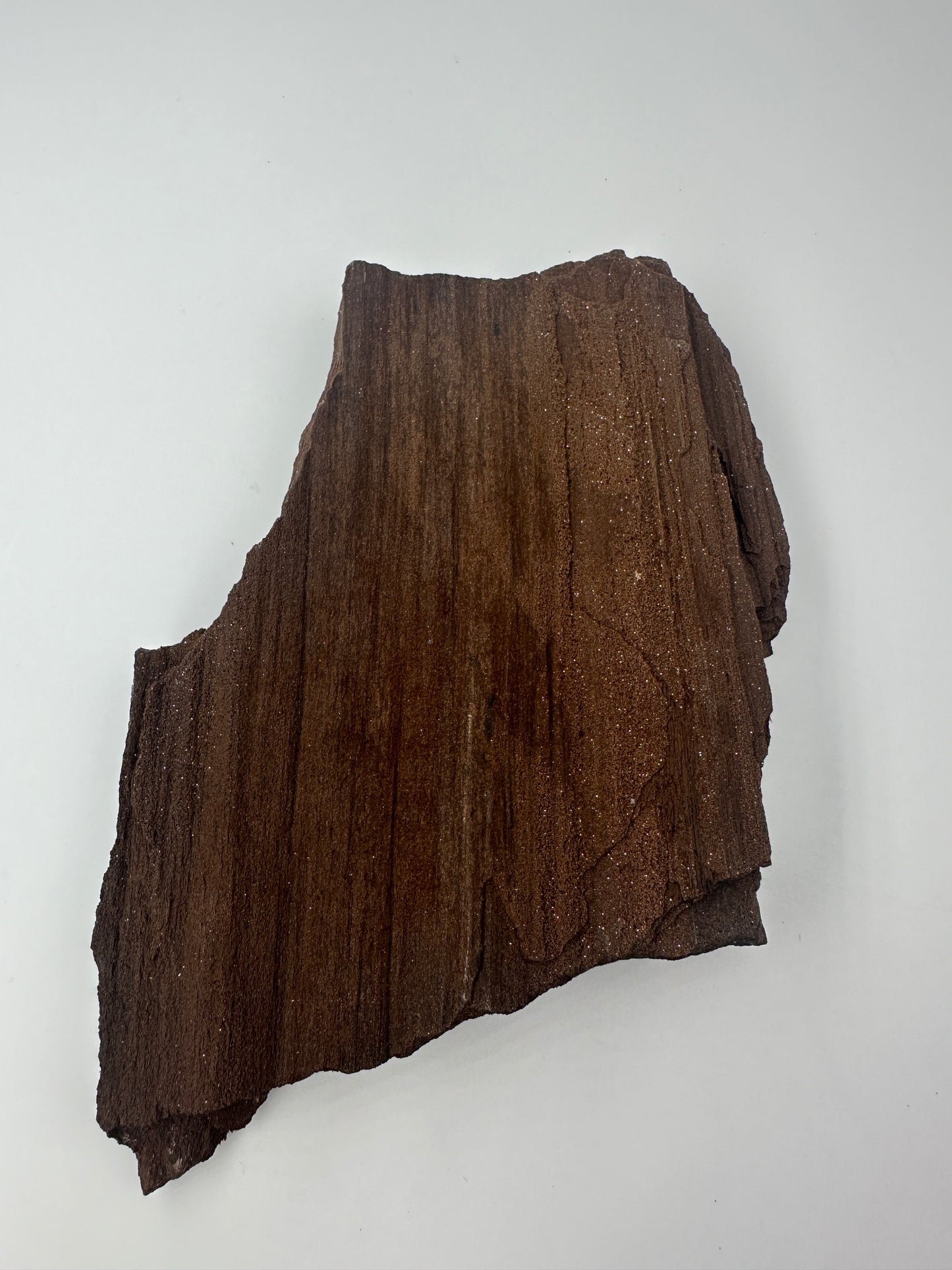 Feenholz FH30 aus Leipzig, versteinertes Holz mit funkelnden Quarzeinschlüssen