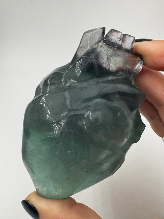 Ein anatomisch geformtes Herz aus Fluorit mit charakteristischen violett-grünen Farbbändern und einer hochglanzpolierten Oberfläche.