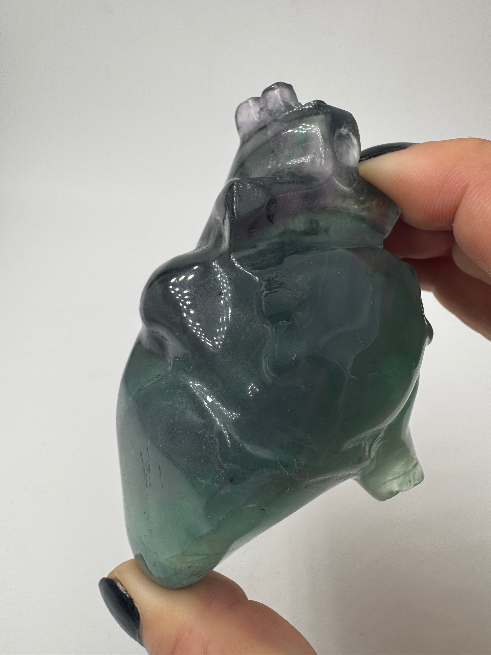 Ein anatomisch geformtes Herz aus Fluorit mit charakteristischen violett-grünen Farbbändern und einer hochglanzpolierten Oberfläche.