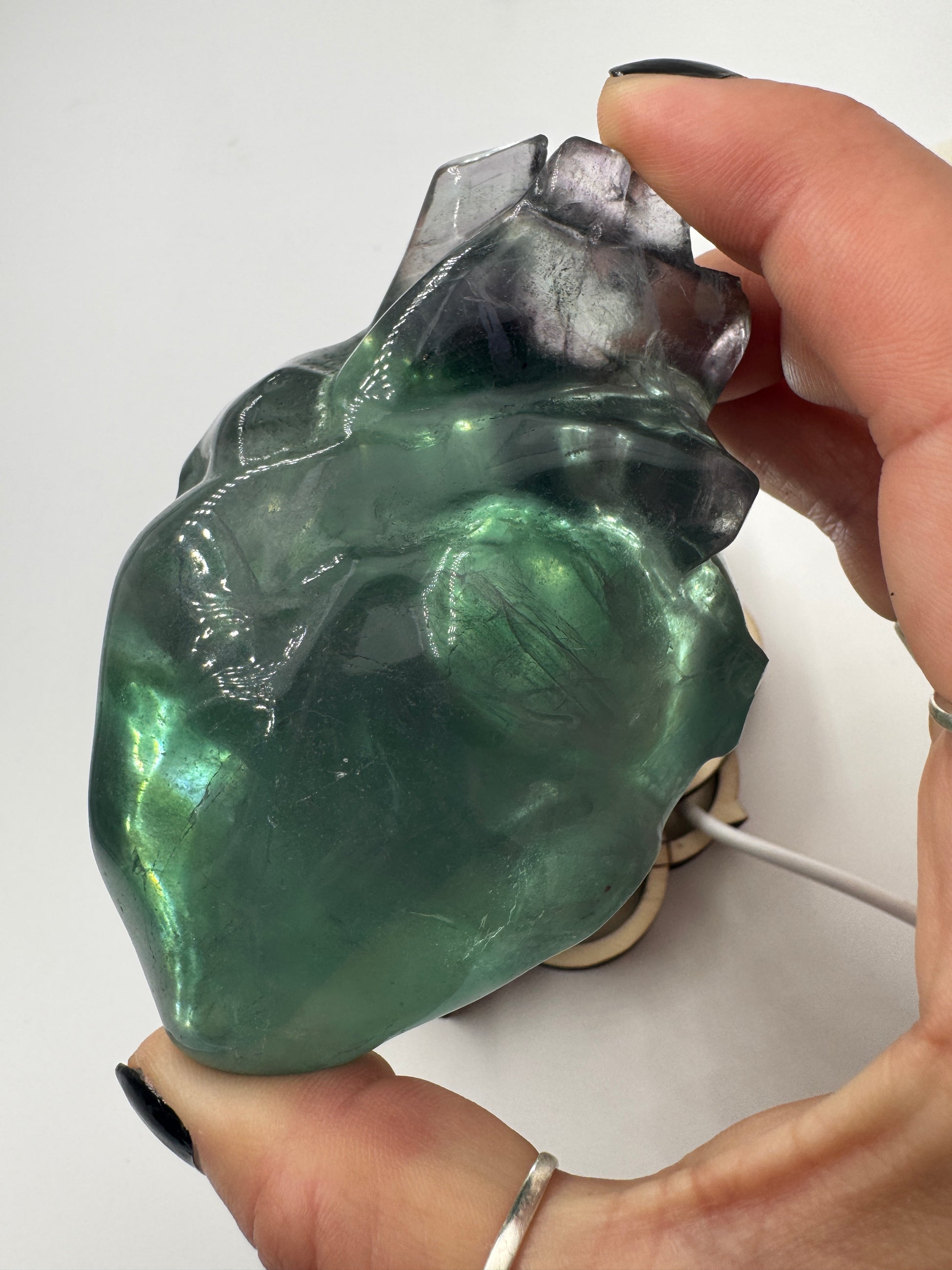 Ein anatomisch geformtes Herz aus Fluorit mit charakteristischen violett-grünen Farbbändern und einer hochglanzpolierten Oberfläche.