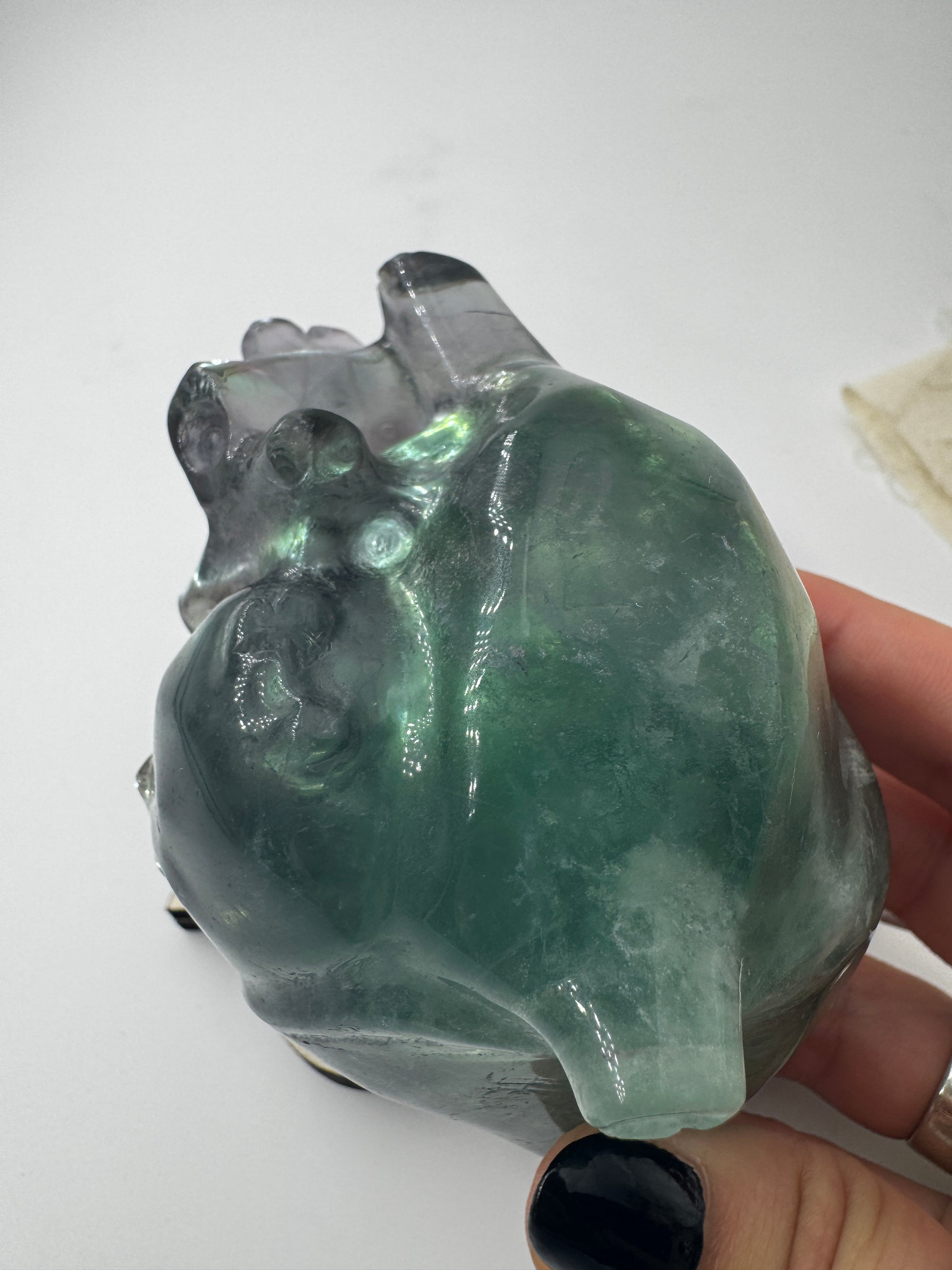 Ein anatomisch geformtes Herz aus Fluorit mit charakteristischen violett-grünen Farbbändern und einer hochglanzpolierten Oberfläche.