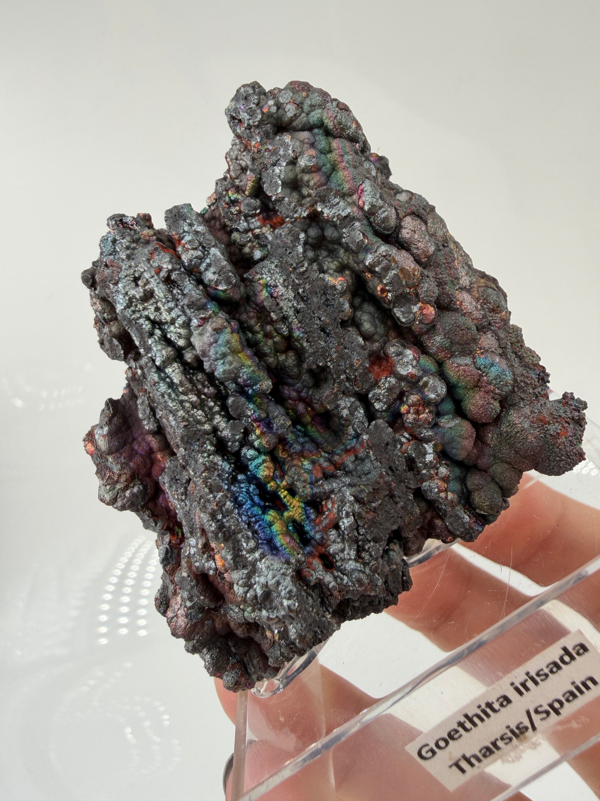 Nahaufnahme der irisierenden Oxidschichten auf Goethit GT58 – Farbenspiel von Gold bis Violett, Tharsis Spanien


