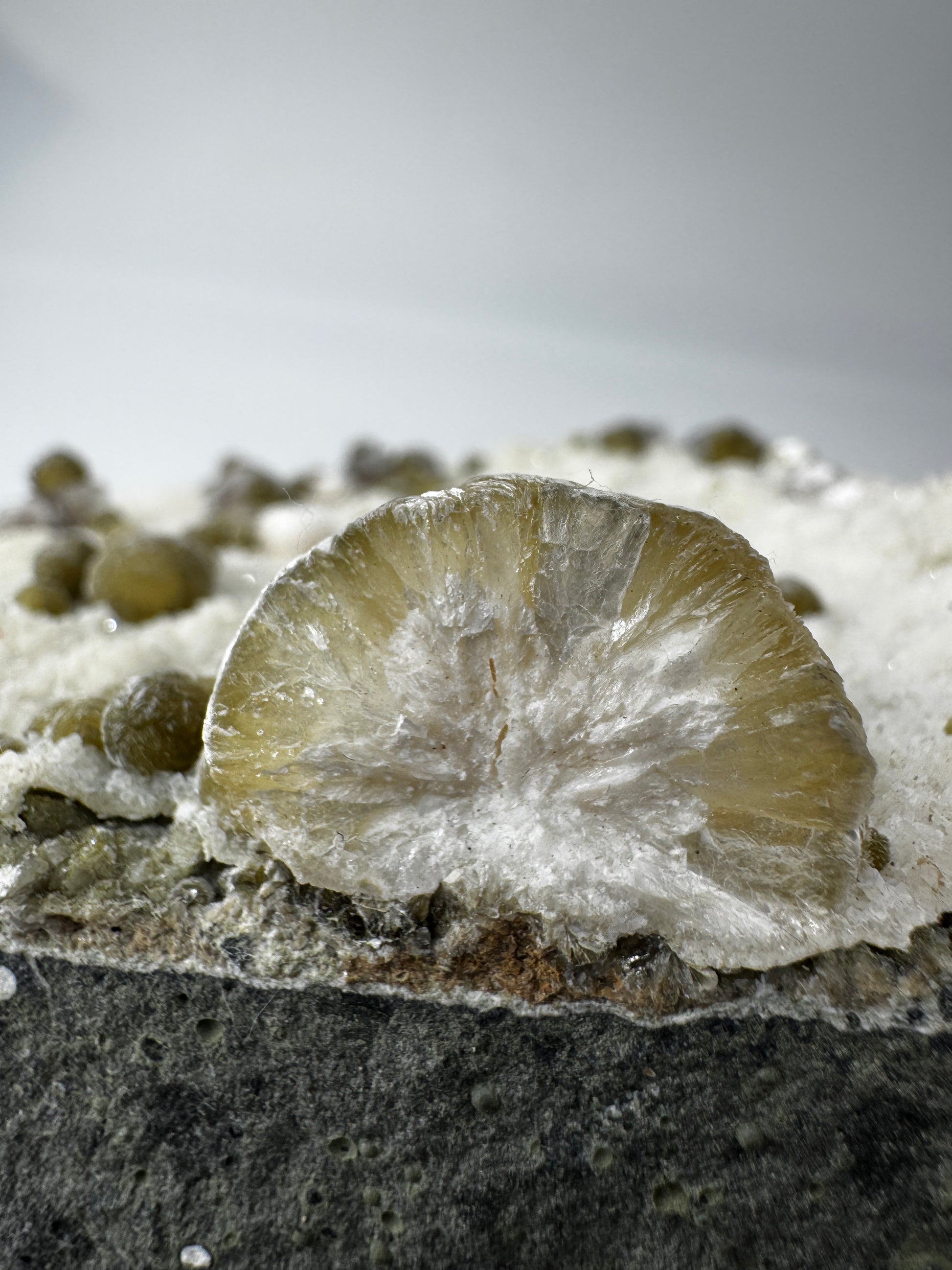Gyrolith GR36 – großer Rohstein mit grünem Gyrolith-Rosetten, Calcit und Okenit.