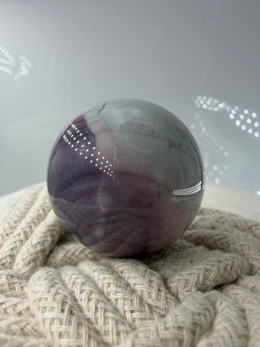 IMG-0729_fa33de7e-6f93-4748-9645-8fe9b64e6e05