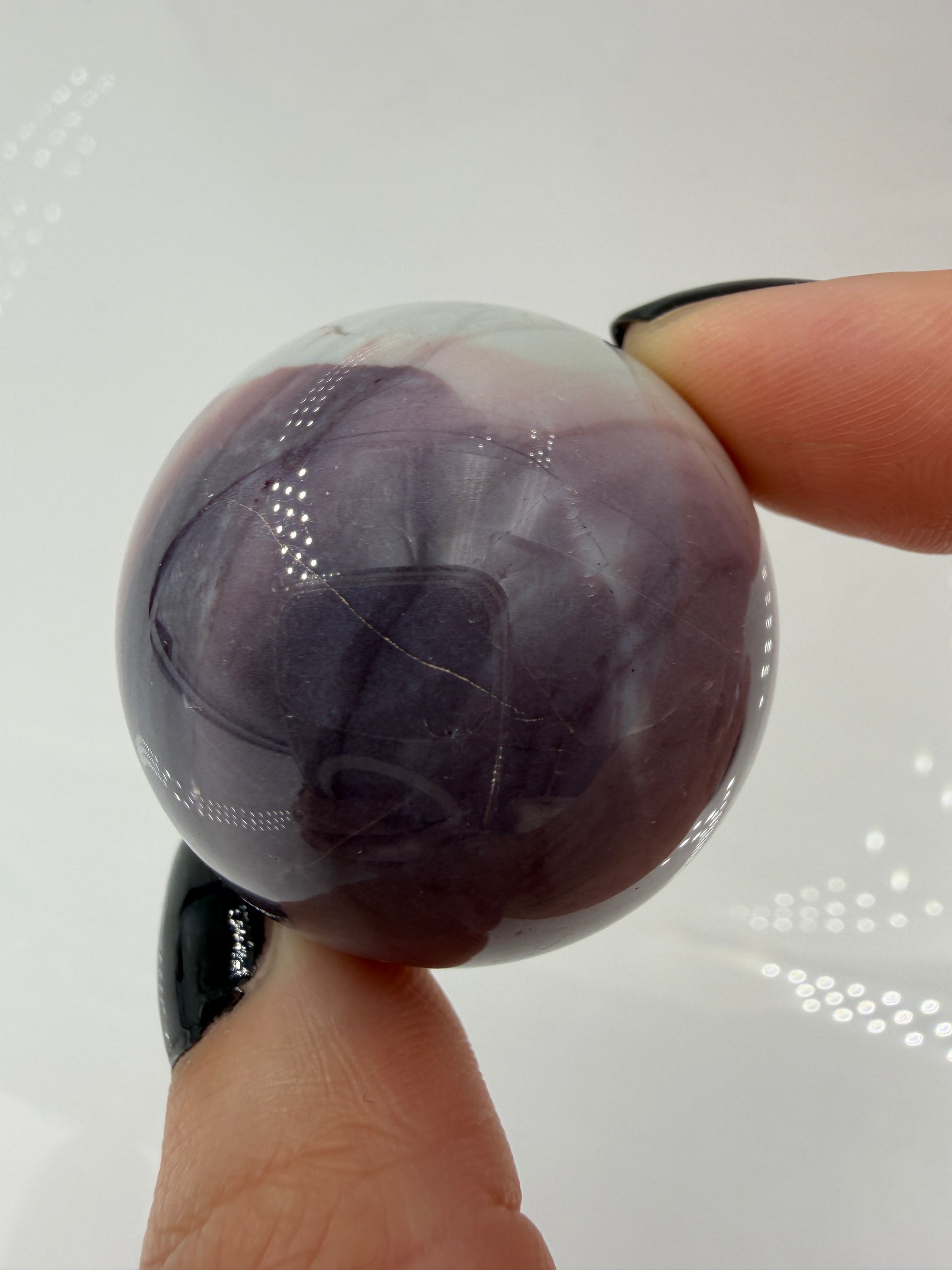 IMG-0730_793d849b-2933-479e-a181-e70703a98880