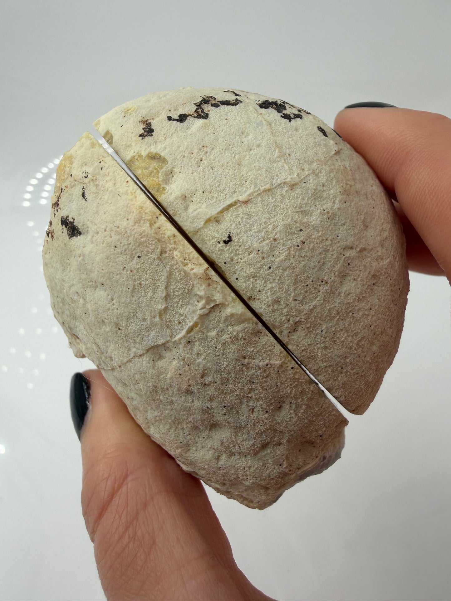 Achat Geoden Paar AG32