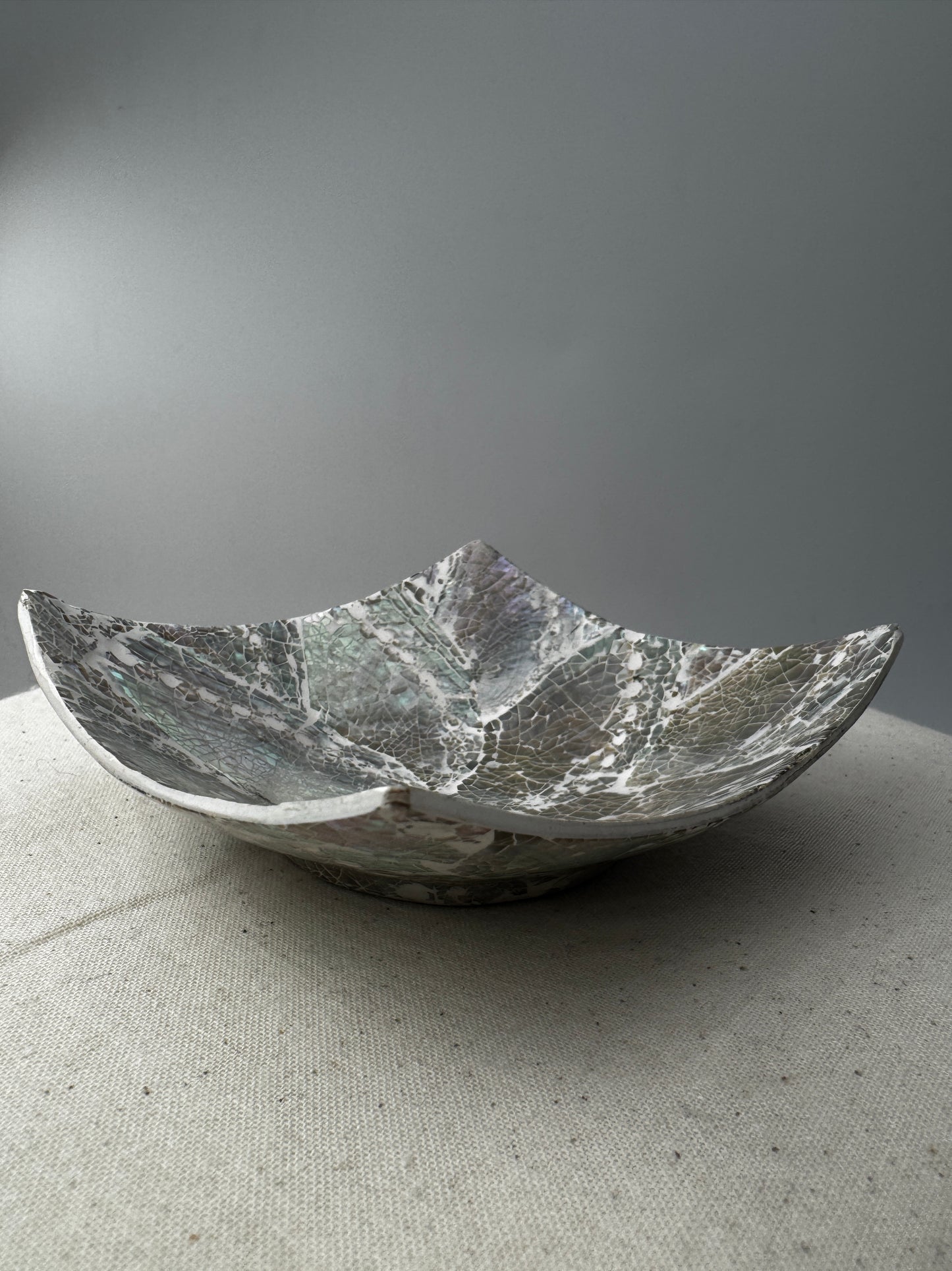 Muschelschale EW22