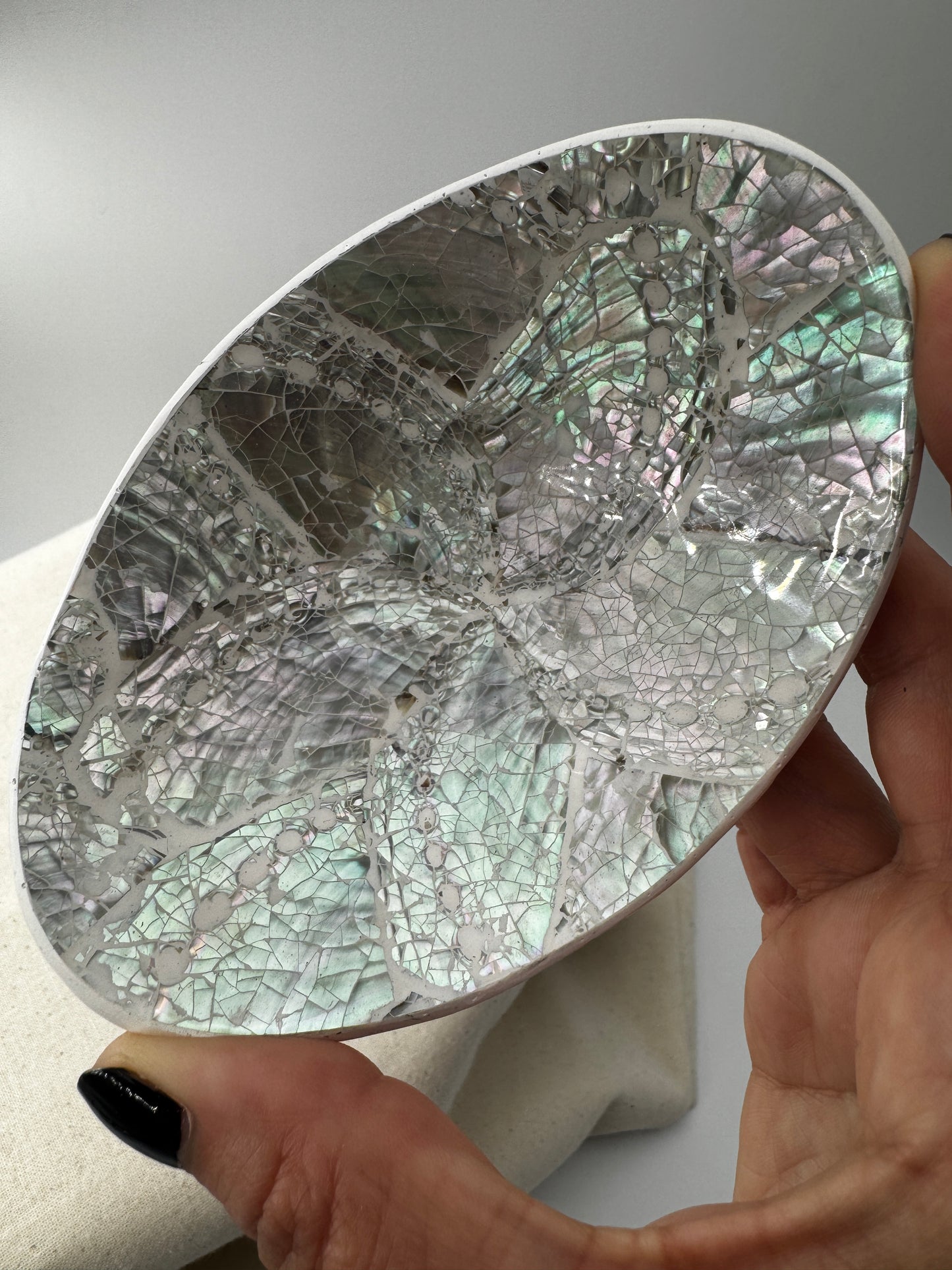 Muschelschale TW22