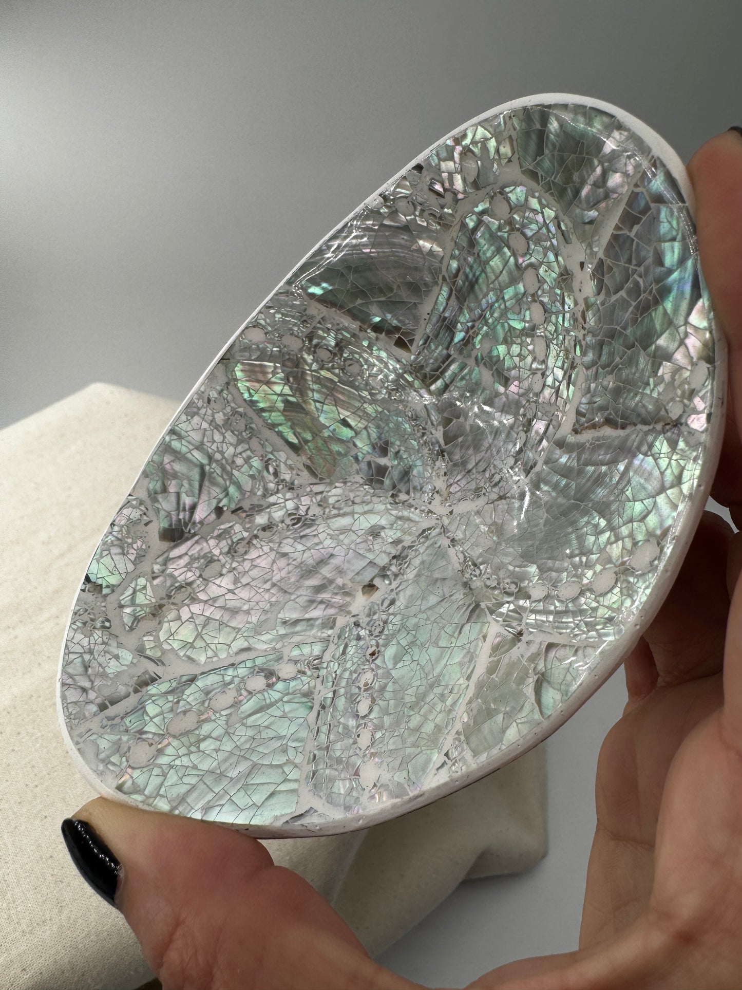 Muschelschale TW22