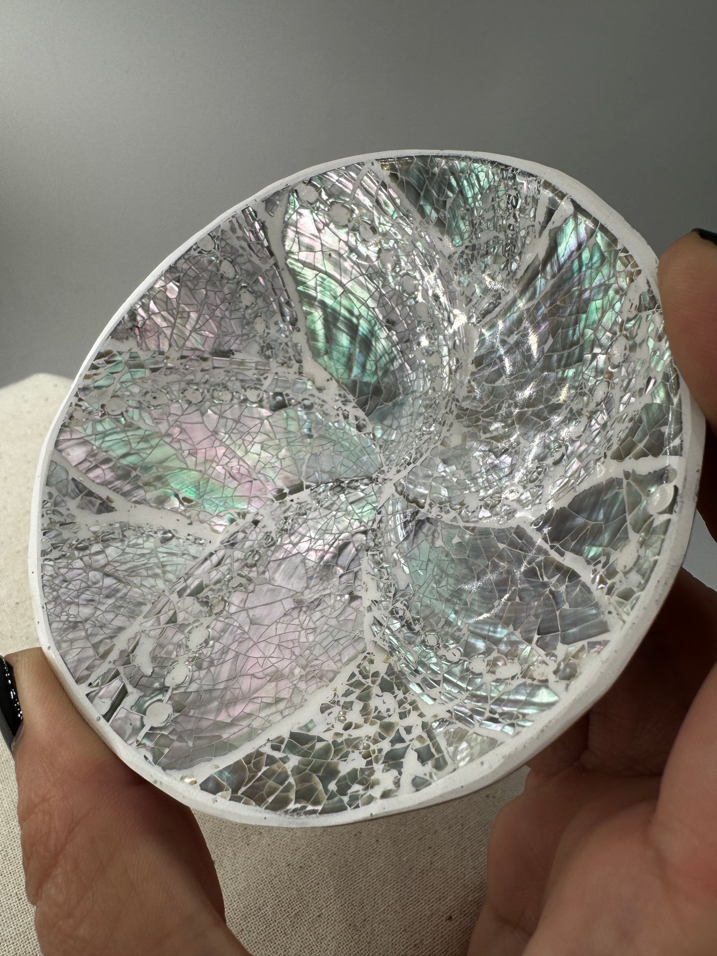 Muschelschale RW22