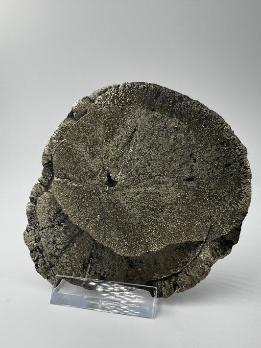 Pyrit Sonne PS119