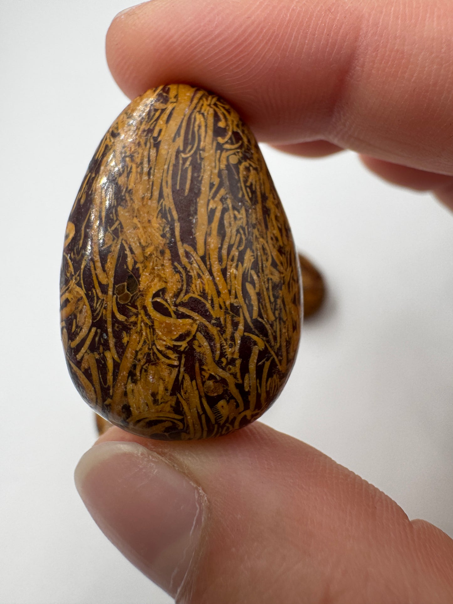 Muschelkalk Anhänger