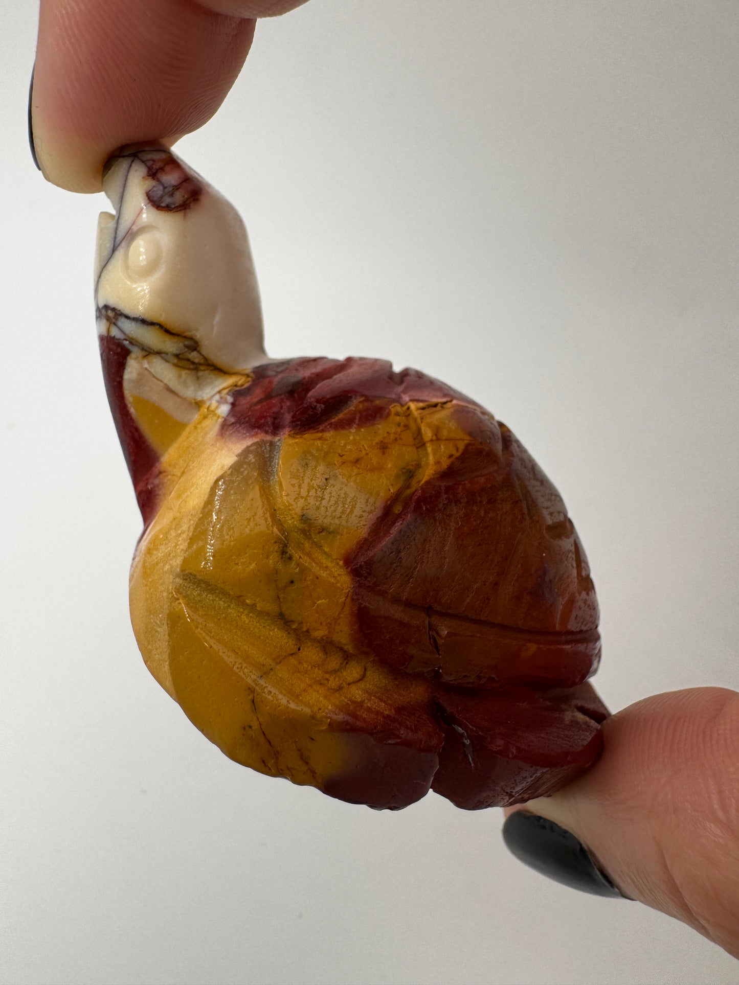 Mookait Schildkröte MD18