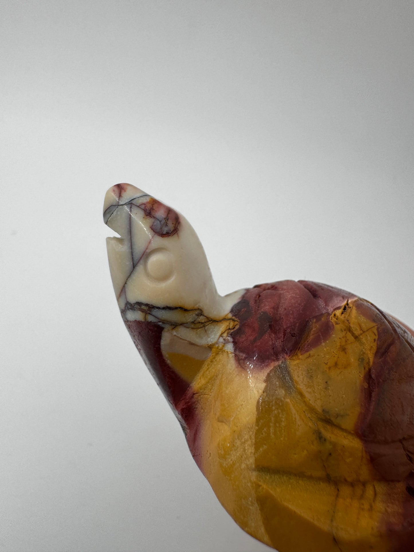 Mookait Schildkröte MD18