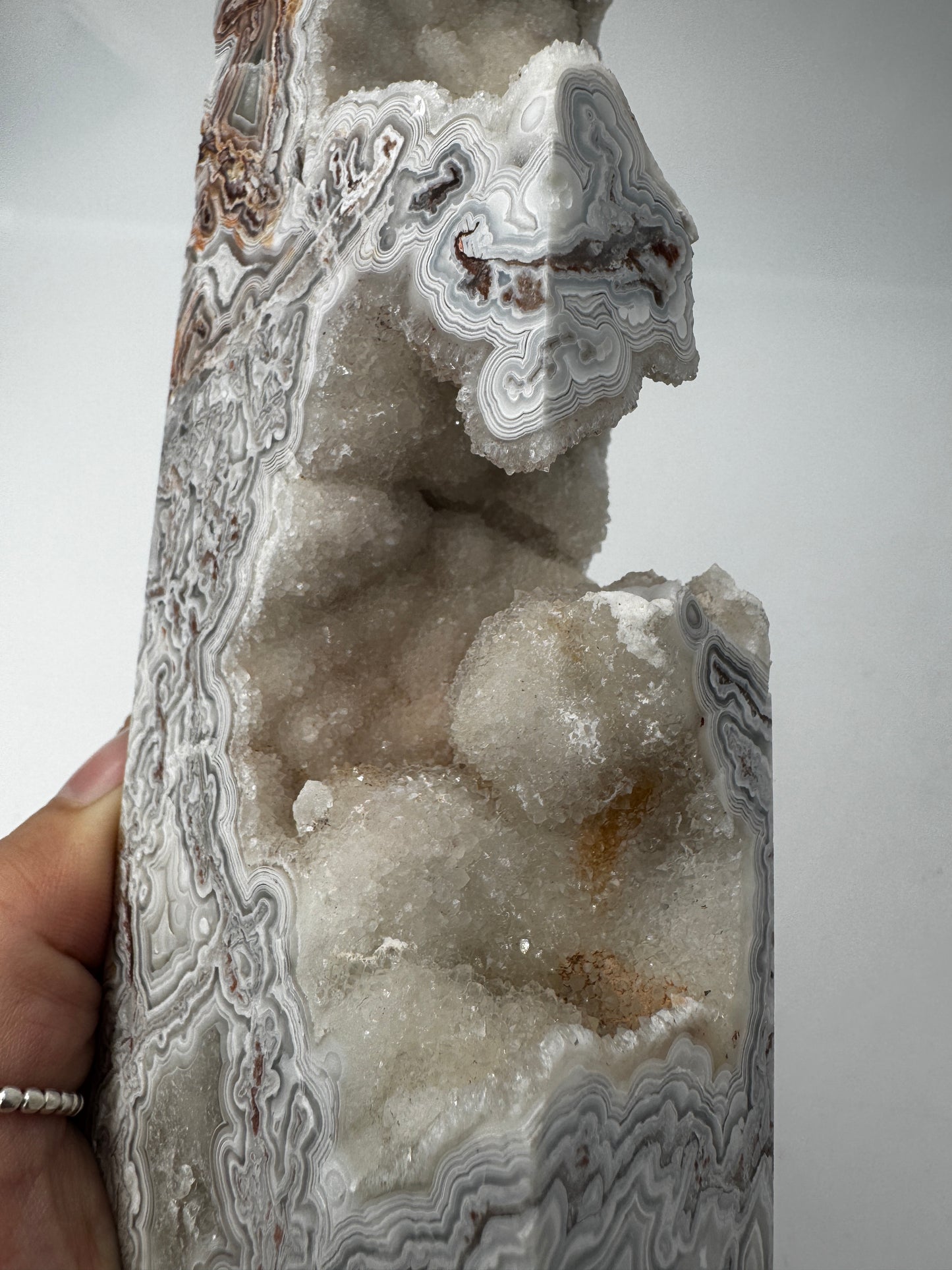 Mexican Lace Spitze MS222