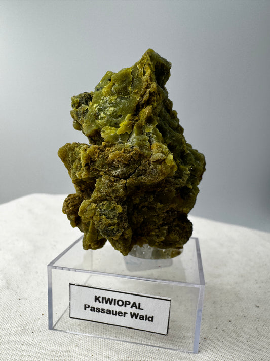 Kiwiopal KO24