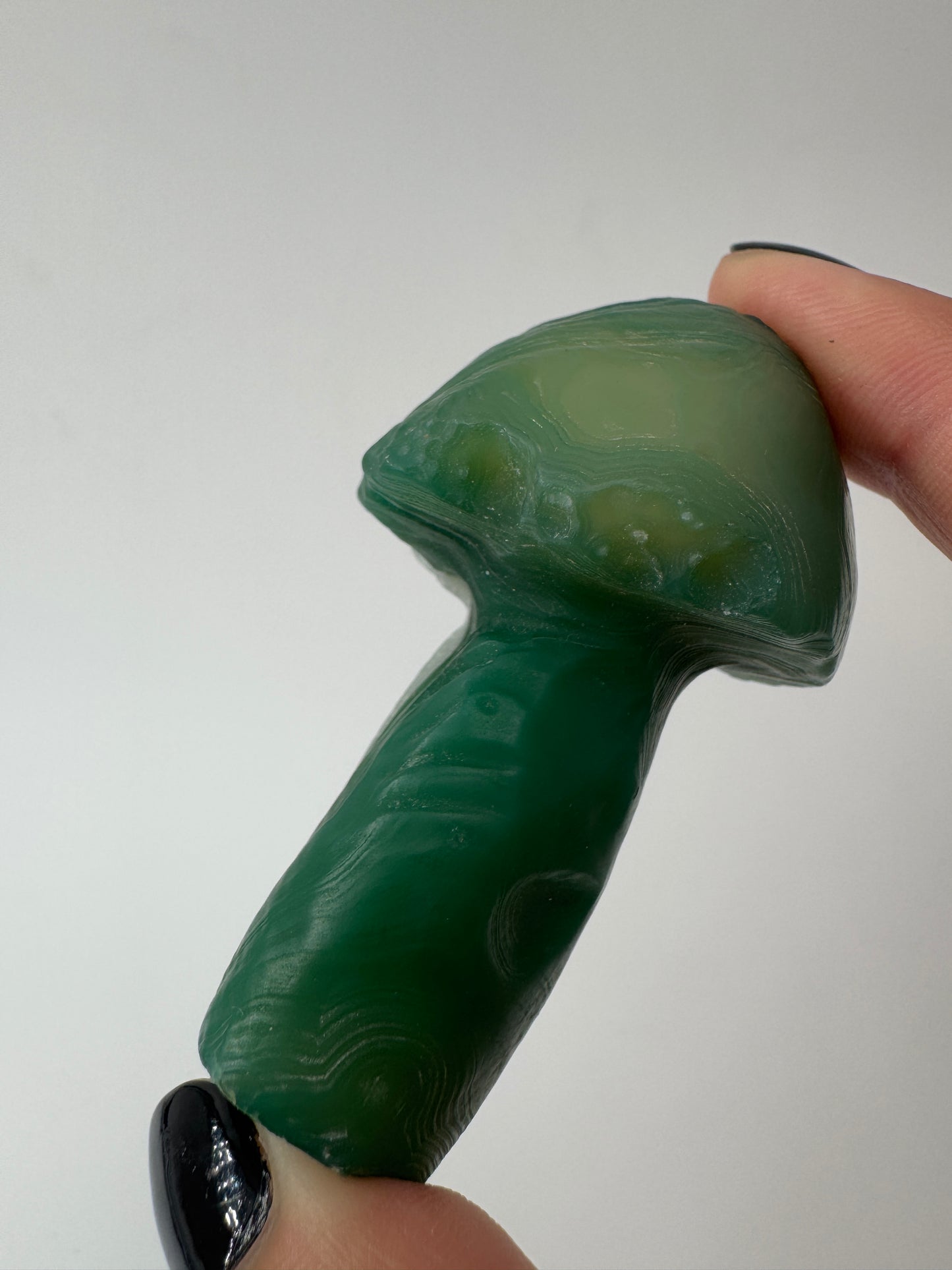 Gobi Achat Pilz GA22
