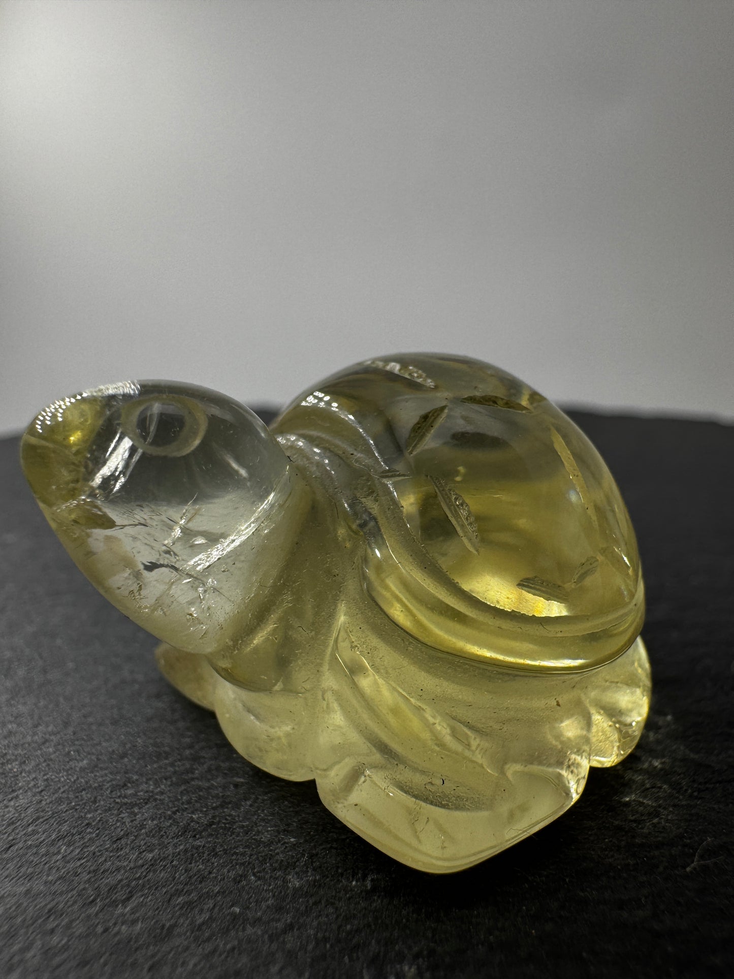 Citrin Schildkröte A30