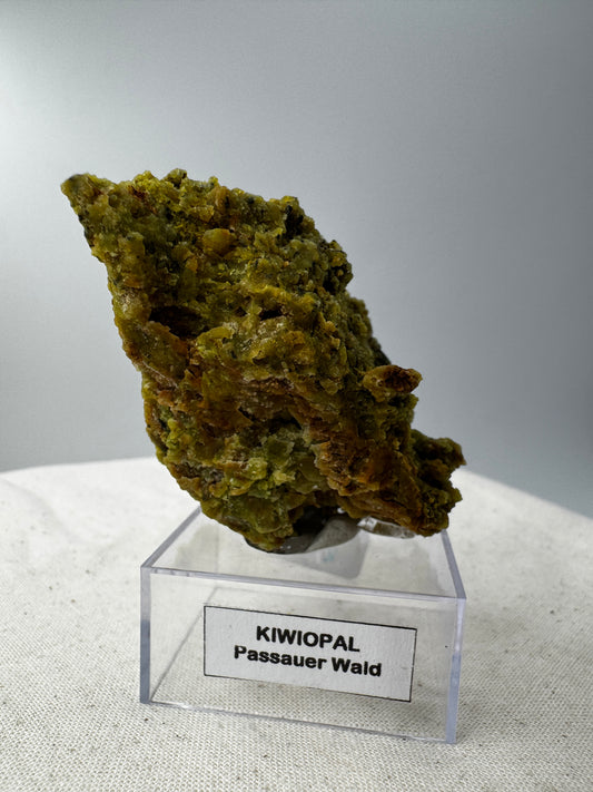 Ein polierter Kiwiopal aus dem Passauer Wald mit intensiv grüner Färbung.