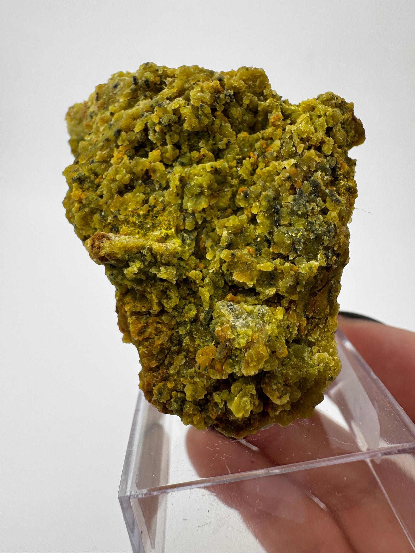 Ein polierter Kiwiopal aus dem Passauer Wald mit intensiv grüner Färbung.