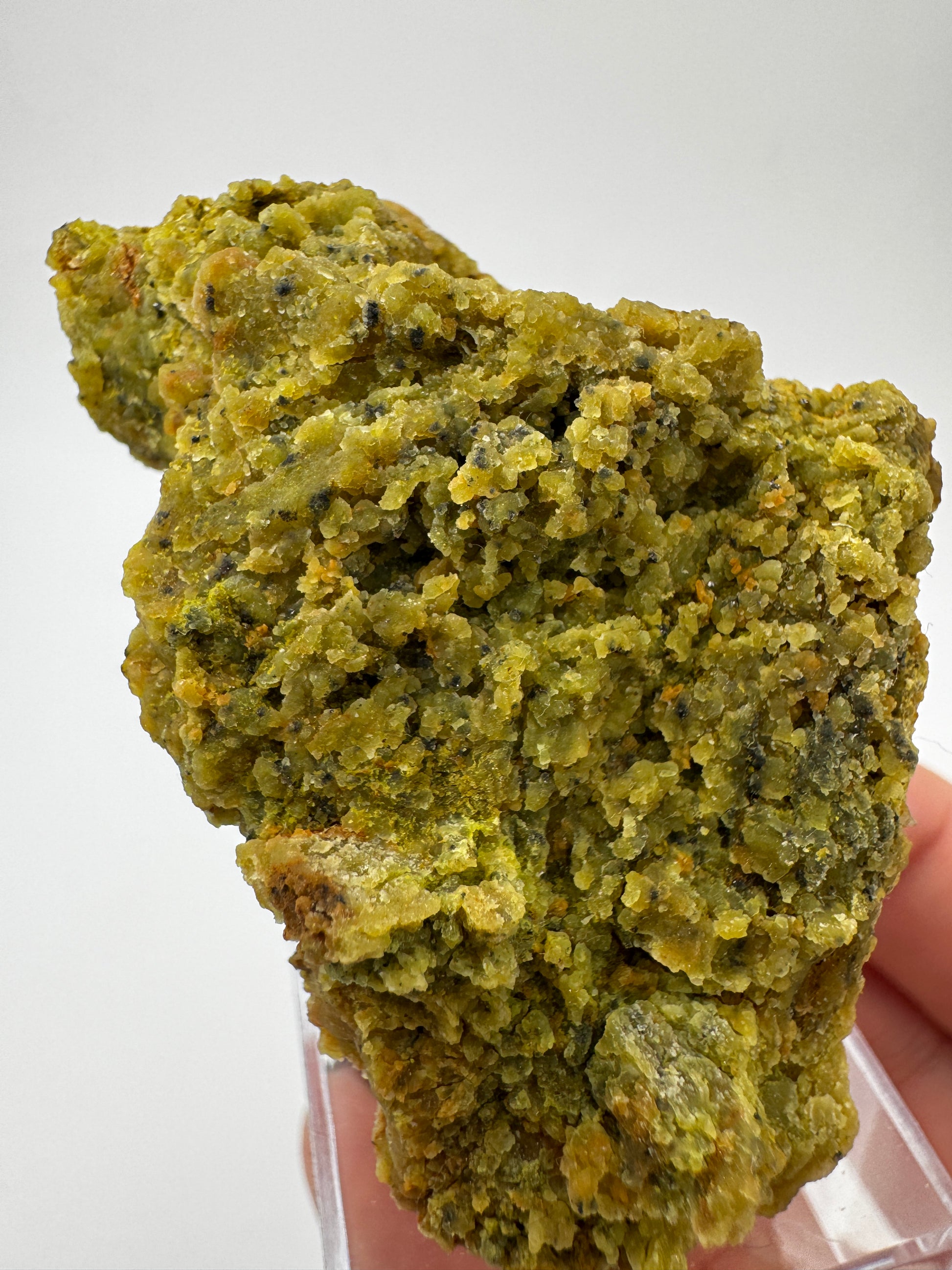 Ein polierter Kiwiopal aus dem Passauer Wald mit intensiv grüner Färbung.