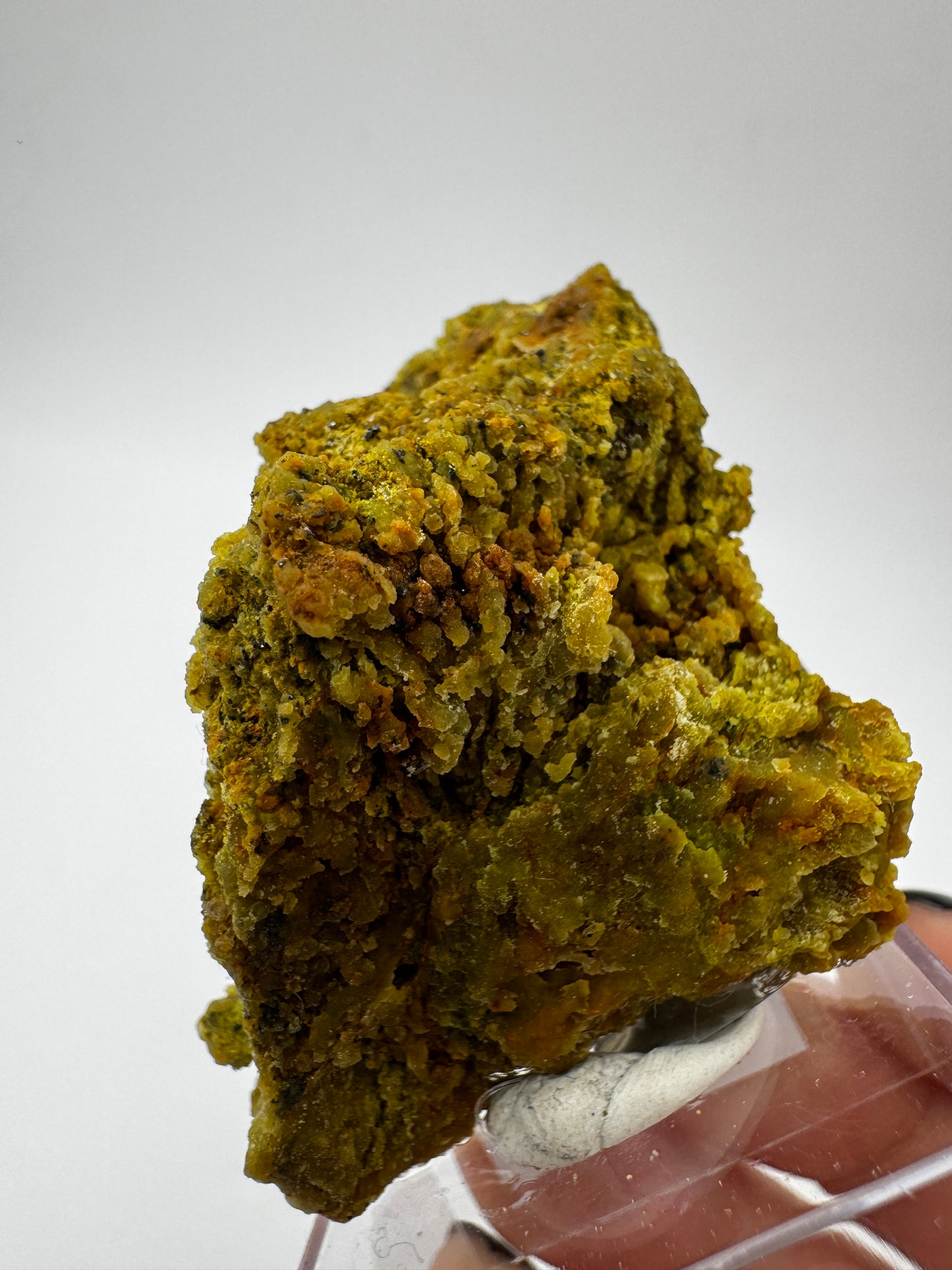 Ein polierter Kiwiopal aus dem Passauer Wald mit intensiv grüner Färbung.