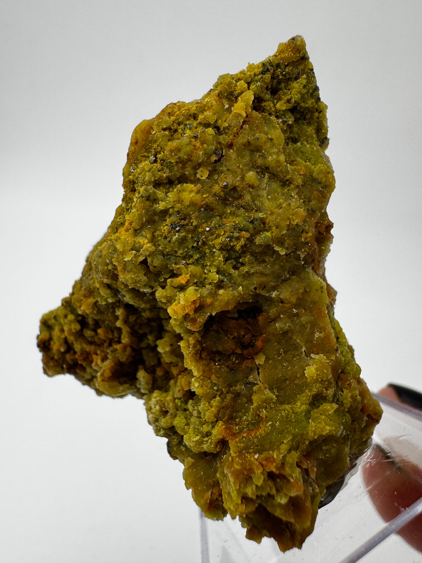 Ein polierter Kiwiopal aus dem Passauer Wald mit intensiv grüner Färbung.