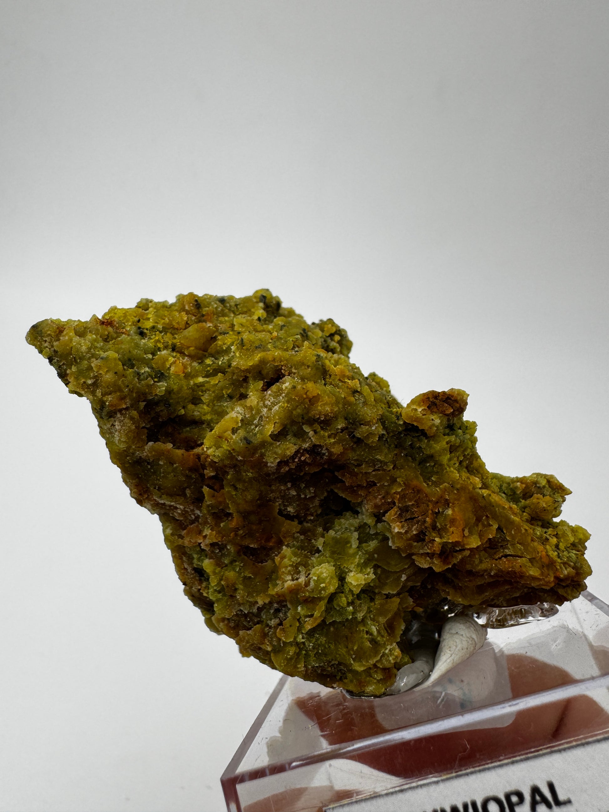 Ein polierter Kiwiopal aus dem Passauer Wald mit intensiv grüner Färbung.