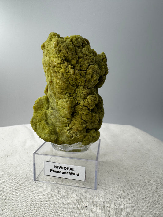 Ein polierter Kiwiopal aus dem Passauer Wald mit intensiv grüner Färbung.
