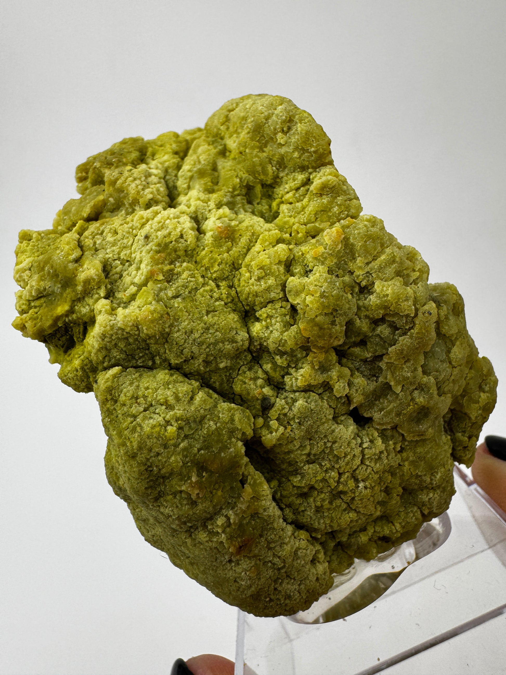 Ein polierter Kiwiopal aus dem Passauer Wald mit intensiv grüner Färbung.