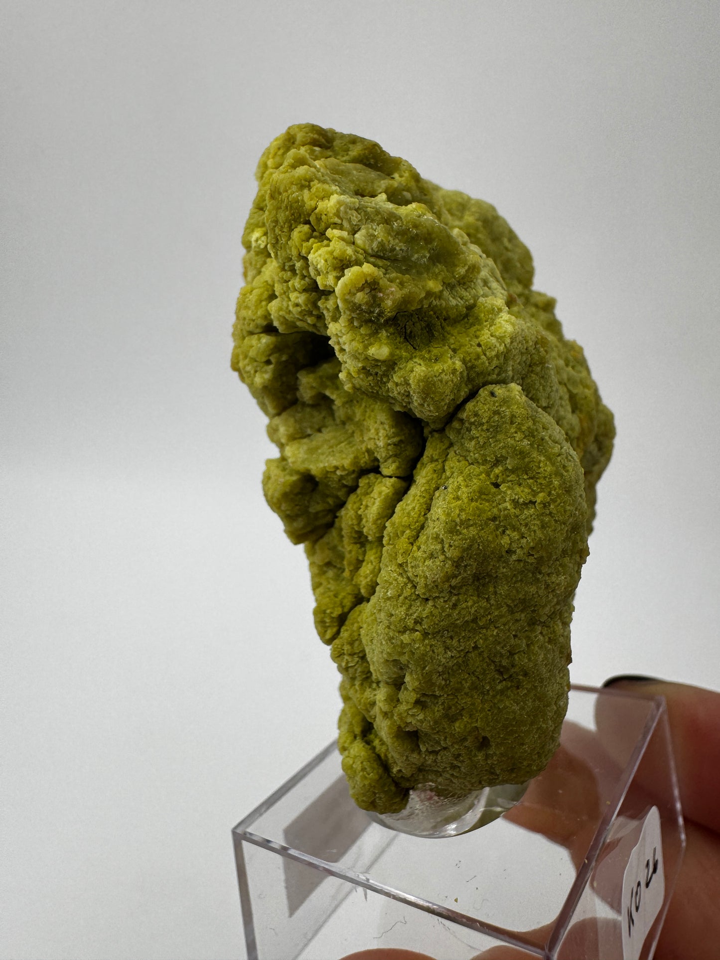 Ein polierter Kiwiopal aus dem Passauer Wald mit intensiv grüner Färbung.