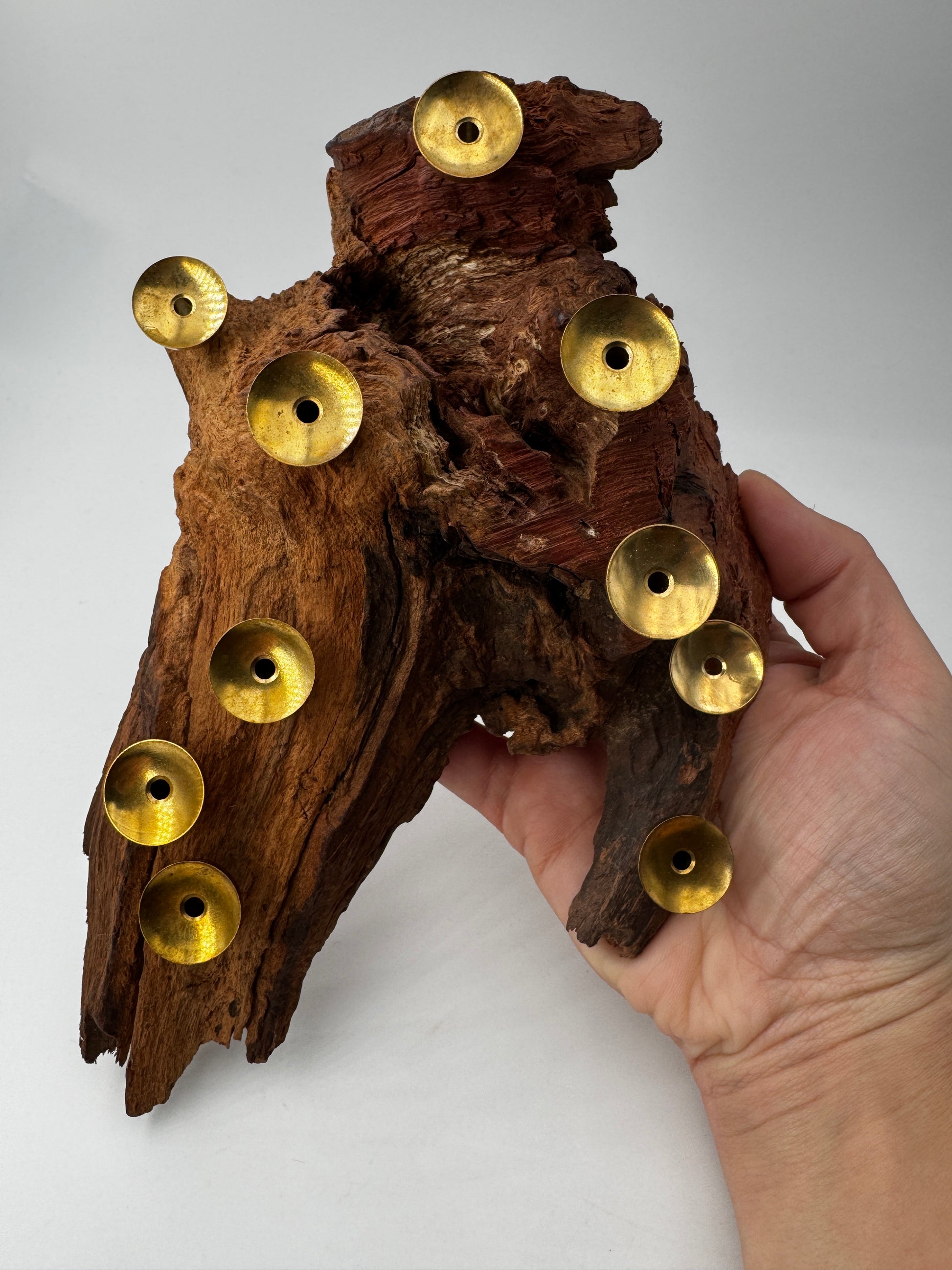 Kugelhalter aus Naturwurzel K95, 21×12 cm, mit Platz für 10 Minikugeln – dekoratives Holzdisplay für Mineraliensammlungen.