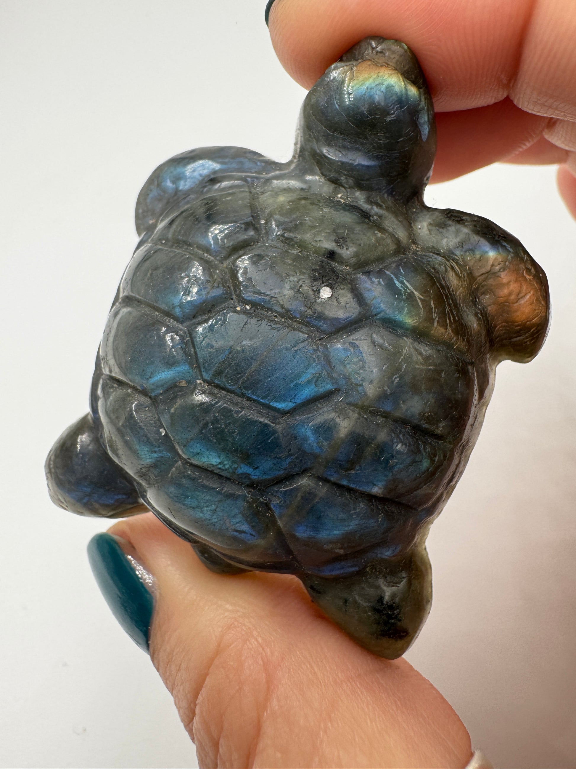 Handgeschliffene Schildkröte aus Labradorit mit Labradoreszenz-Effekt.