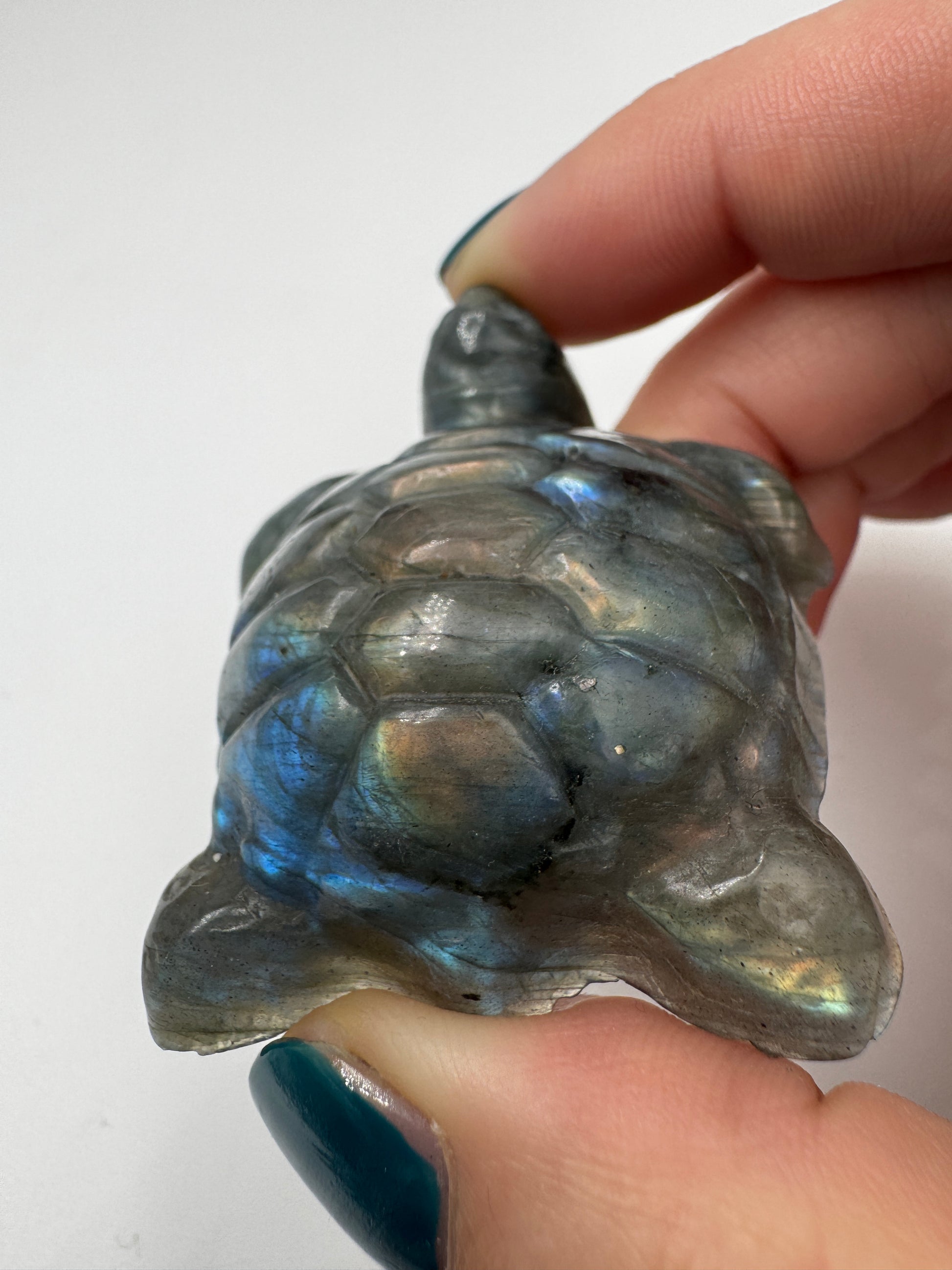 Handgeschliffene Schildkröte aus Labradorit mit Labradoreszenz-Effekt.