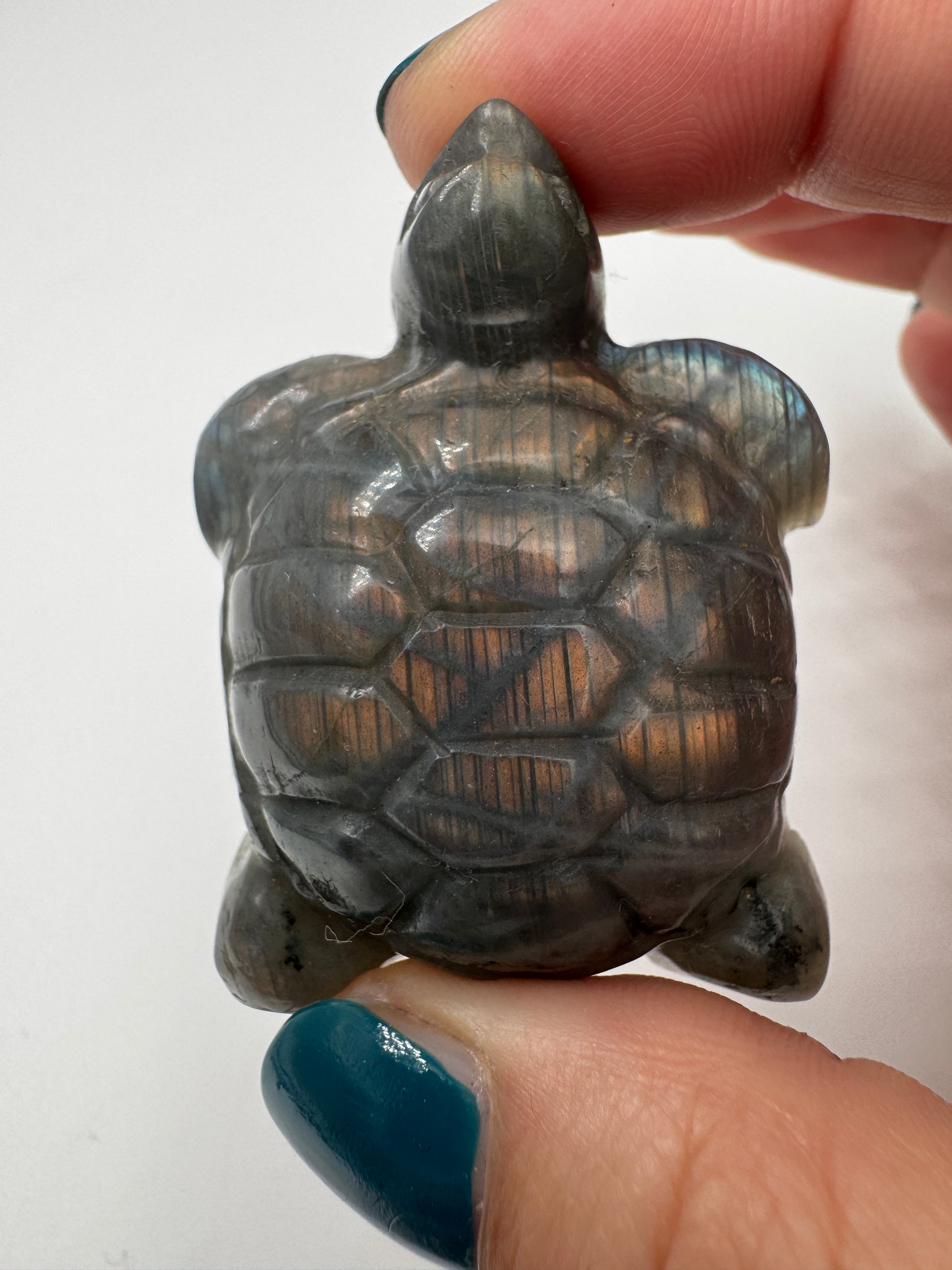 Handgeschliffene Schildkröte aus Labradorit mit Labradoreszenz-Effekt.