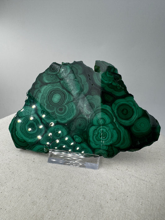 Beidseitig polierter Malachit-Anschliff mit konzentrischen grünen Bändern, 12 × 8 × 0,6 cm, natürliche Seiten.