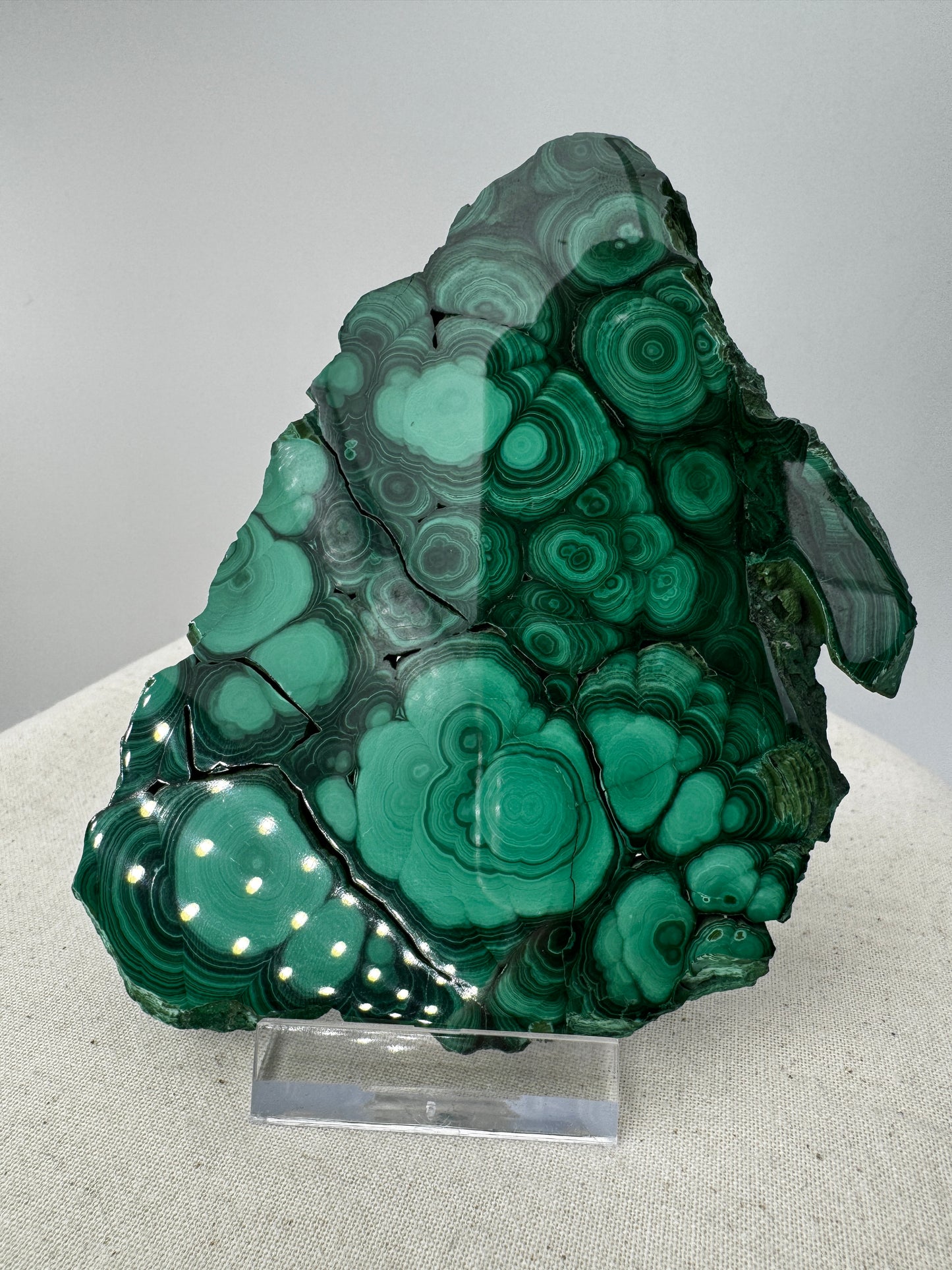 Beidseitig polierter Malachit-Anschliff mit konzentrischen grünen Bändern, 12 × 8 × 0,6 cm, natürliche Seiten.