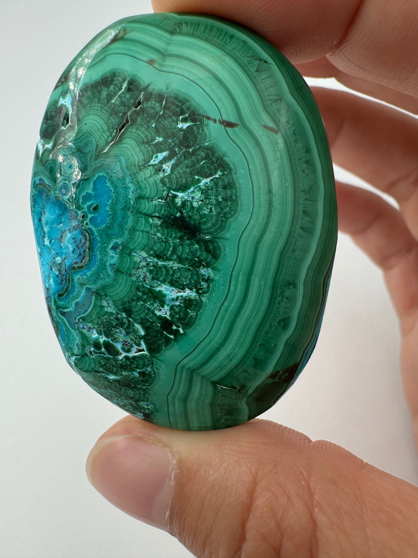 Malachit Handstein mit Chrysokoll AM49, 5 × 3,7 cm, mit leuchtendem Grün-Türkis-Farbspiel der natürlichen Kupfermineralverwachsung