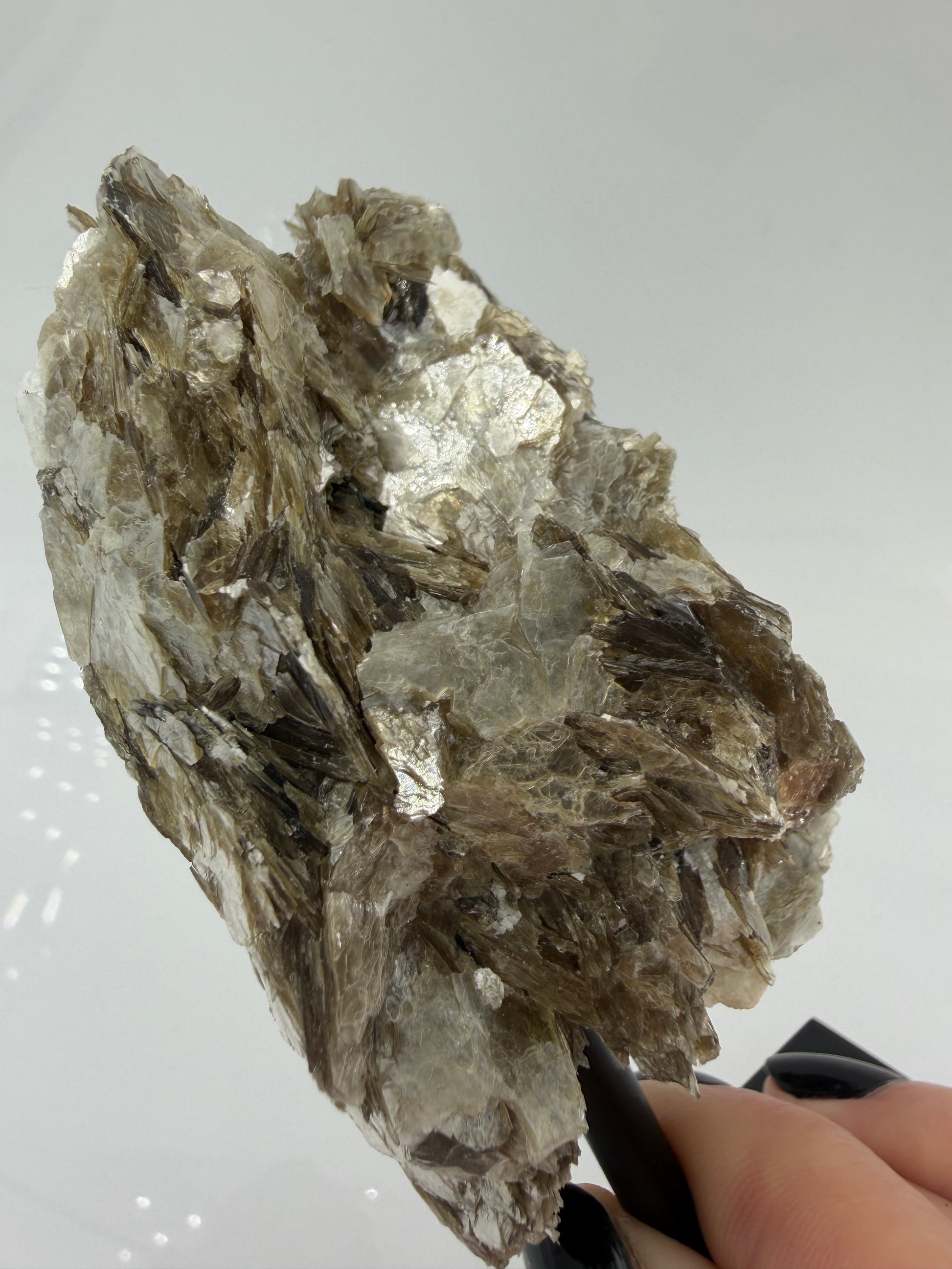 Silbrig glänzender Muskovit-Glimmer auf einem schwarzen Metallständer zur dekorativen Präsentation.