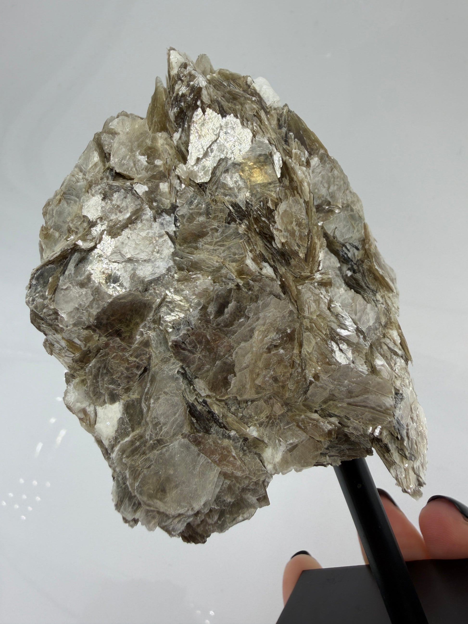 Silbrig glänzender Muskovit-Glimmer auf einem schwarzen Metallständer zur dekorativen Präsentation.