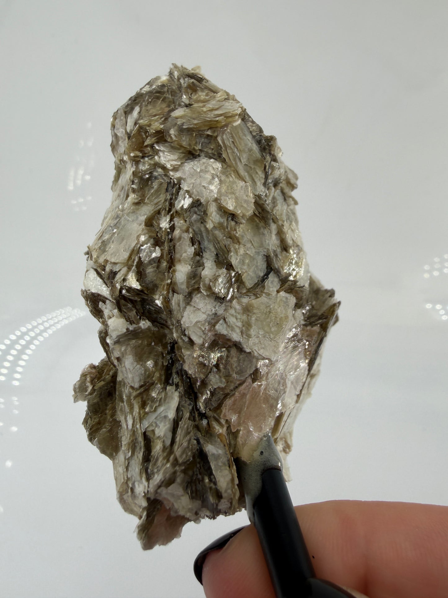 Silbrig glänzender Muskovit-Glimmer auf einem schwarzen Metallständer zur dekorativen Präsentation.